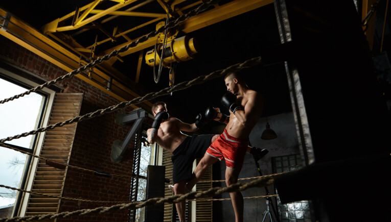 muai thai cesano boscone